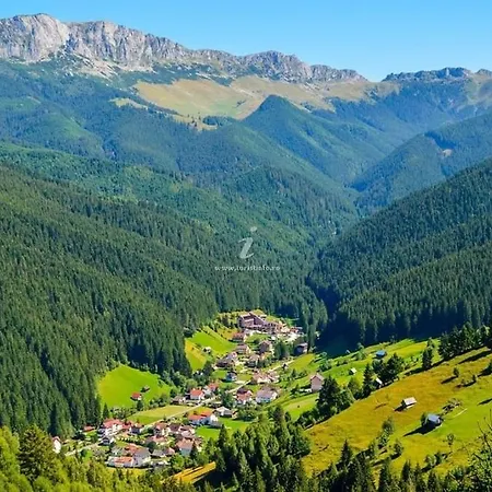 Casa De Vacanta Varf De Munte Moieciu De Sus *