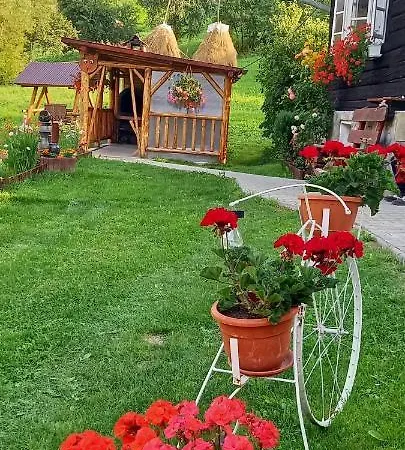 Casa De Vacanta Varf De Munte Moieciu De Sus *