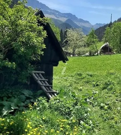 Casa De Vacanta Varf De Munte Moieciu De Sus Holiday home Moeciu De Sus