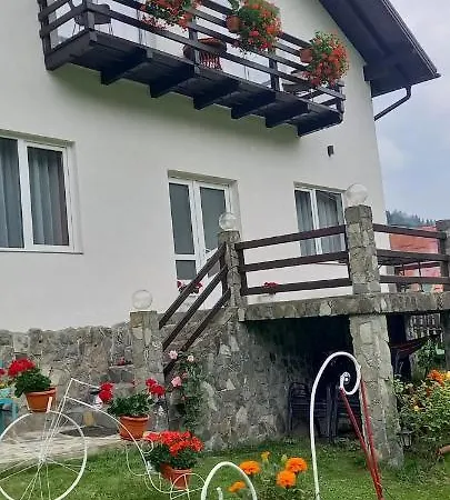 Casa De Vacanta Varf De Munte Moieciu De Sus Holiday home Moeciu De Sus