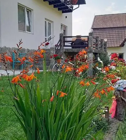 Casa De Vacanta Varf De Munte Moieciu De Sus Holiday home Moeciu De Sus