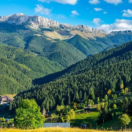Casa De Vacanta Varf De Munte Moieciu De Sus Holiday home Moeciu De Sus