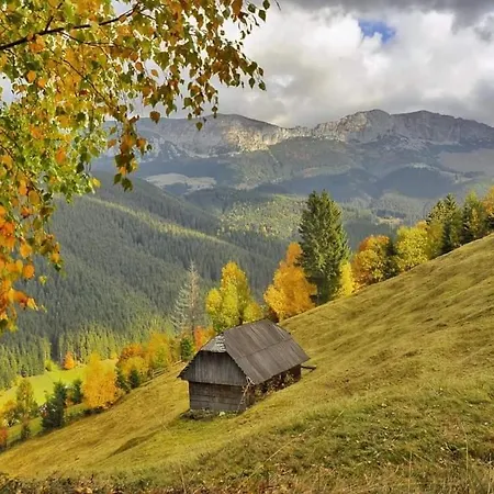 Casa De Vacanta Varf De Munte Moieciu De Sus