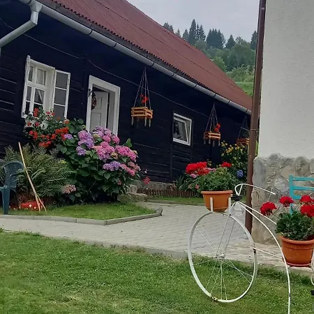Casa De Vacanta Varf De Munte Moieciu De Sus Moeciu De Sus